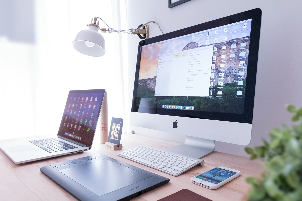 Web Development